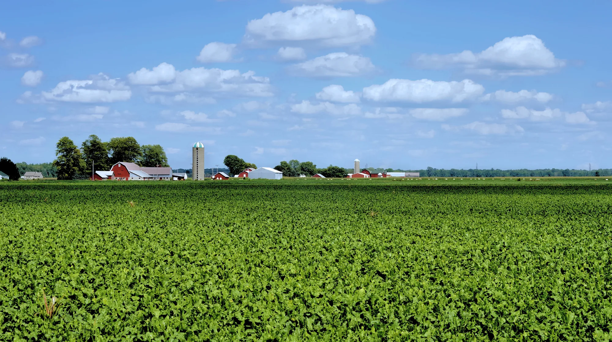A rural American farm under a wide blue sky
